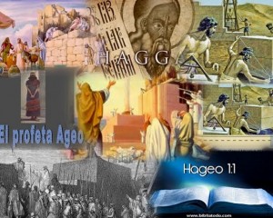 haggai Collage (640x512)