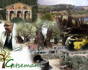 Gethsemane1 Collage (600x480)